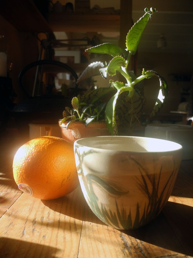 Poteries de saison, Séné, céramique, Vannes