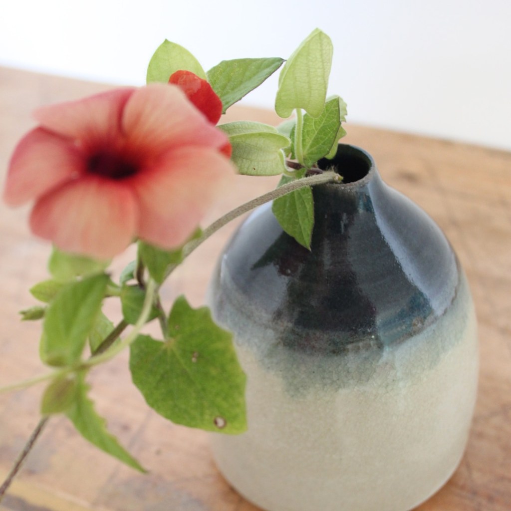 Poteries de saison, Séné, céramique, Vannes, Morbihan, Bretagne, stages, cours, vases, sculpture, vaisselle, artisanat d'art