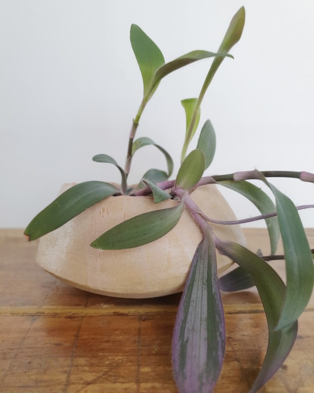 Poteries de saison, Séné, céramique, Vannes, Morbihan, Bretagne, pottery, ceramics, cache-pot, végétal