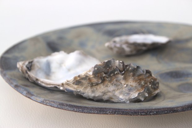 Poteries de saison, Séné, céramique, Vannes, Morbihan, Bretagne, pottery, ceramics, assiette, huître