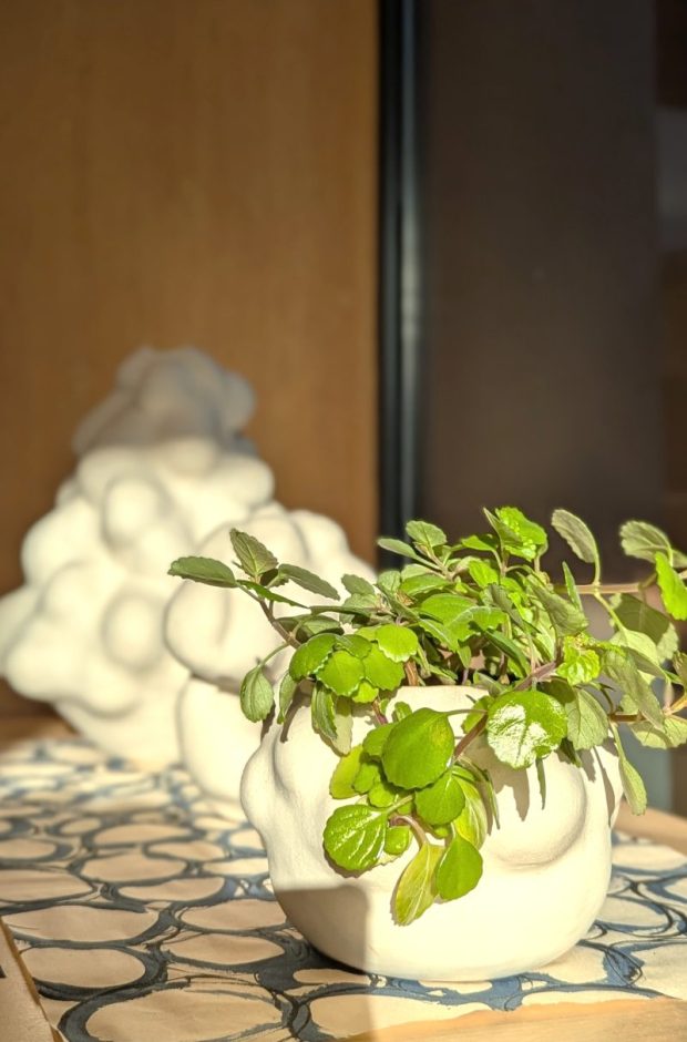 cours, stages, atelier, Poteries de saison, Séné, céramique, Vannes, Morbihan, Bretagne, pottery, ceramics, sculpture contemporaine, exposition le Patiau